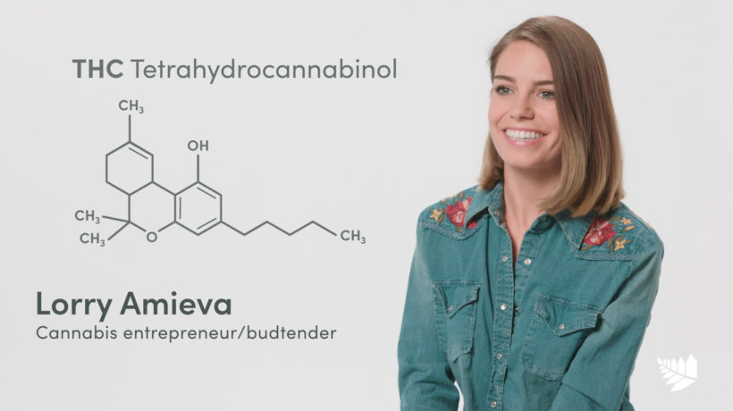 Flowertown explains THC as a component of medical cannabis