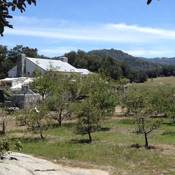 Flowertown socal apple picking orchard