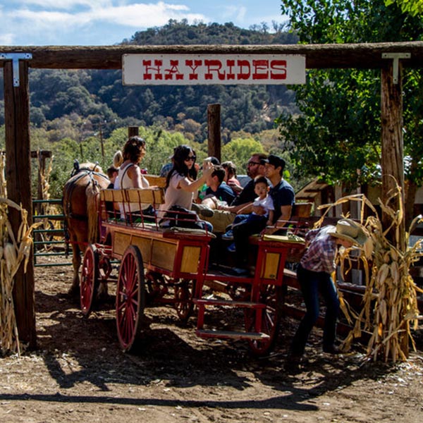 Flowertown socal apple picking orchard