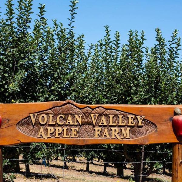 Flowertown socal apple picking orchard