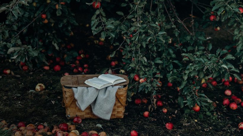 Flowertown socal apple picking orchard