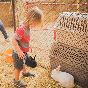 Flowertown 5 Best Pumpkin Patches in Los Angeles