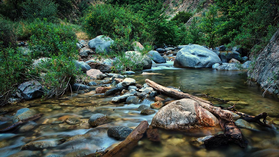 Five Hidden Nature Spots in LA’s Concrete Sprawl