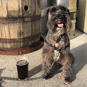 Flowertown 5 dog friendly breweries in LA