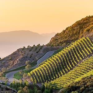 Flowertown Four Under-the-Radar California Wine Country Getaways