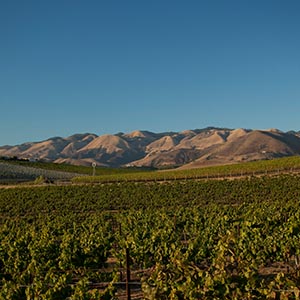 Flowertown Four Under-the-Radar California Wine Country Getaways