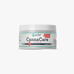 Flowertown The Best CBD Products to Help Your Pet