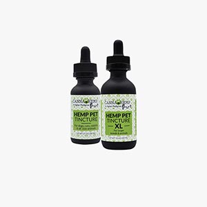 Flowertown The Best CBD Products to Help Your Pet