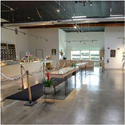 harborside san jose