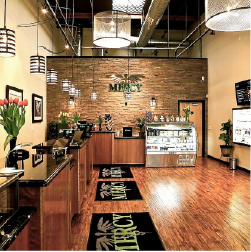 mercy wellness of cotati