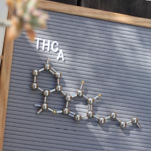 Flowertown Cannabis 101 Who else is in the cannabinoid family