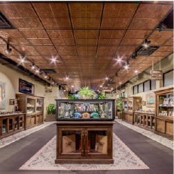 diego-pellicer-denver