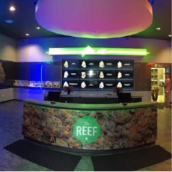 reef