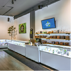 seattle cannabis co