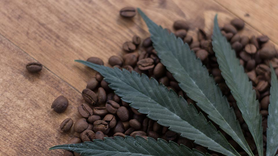 Flowertown Cannabis and Coffee A Match Made In Nature