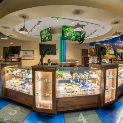 lightshade dispensary