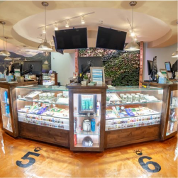 lightshade dispensary