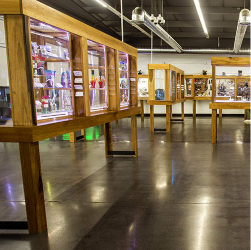 lucid dispensary