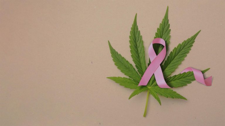 Flowertown Cannabis and breast cancer heal the body naturally