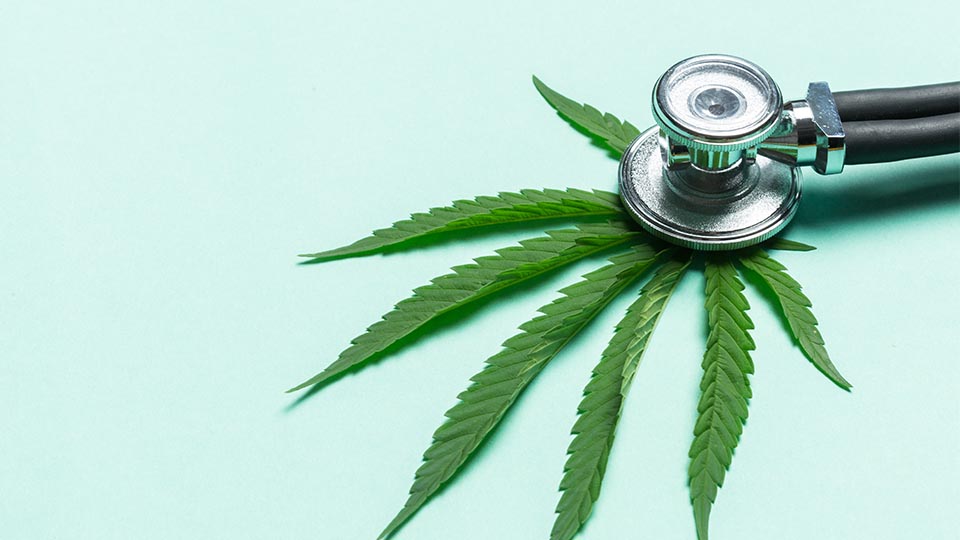 Flowertown How to talk cannabis with your doctor