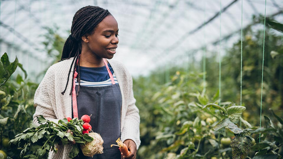 Flowertown Plant People How a cannabis company is leading the plant based movement