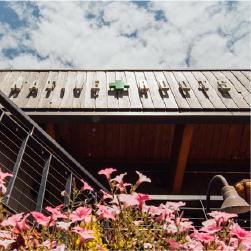 native roots dispensary