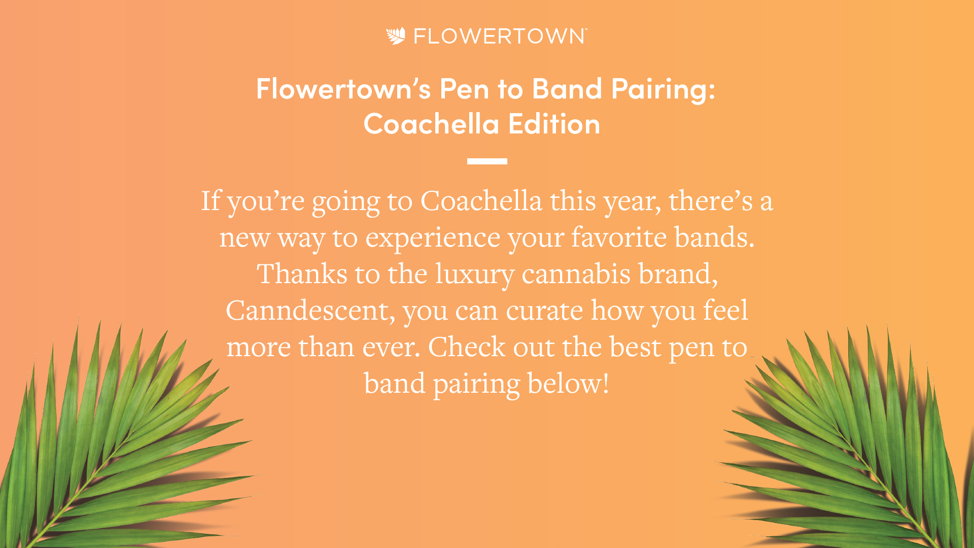 Canndescent Flowertown coachella