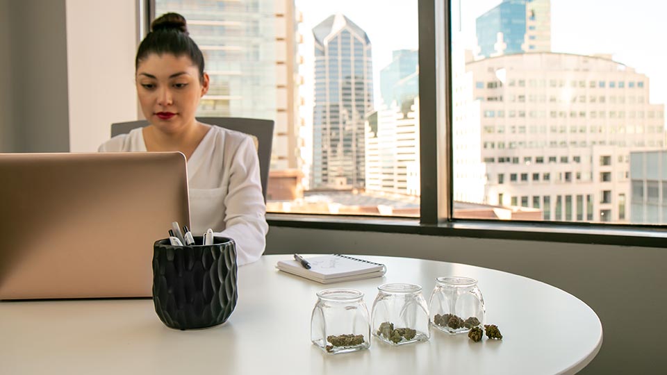 Flowertown Tech and Cannabis How Legalization Is Changing the Workplace