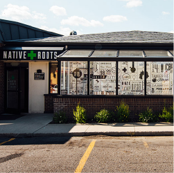 native roots frisco