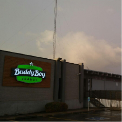 buddy boy