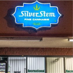 silver stem