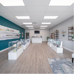 CBD Plus (29th St)
