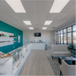 CBD Plus (Division Blvd)