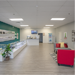 CBD Plus (Tahlequah)