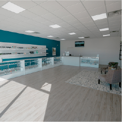 CBD Plus (Waterloo & Broadway)