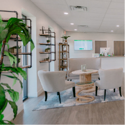 cbd plus south penn
