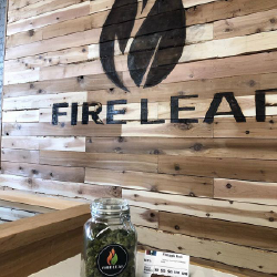 fire leaf stockyard
