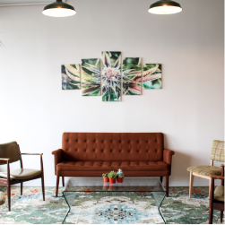 the joint cannabis club
