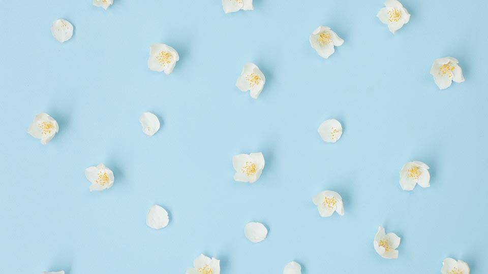 Flowertown 6 terpenes for deeper sleep