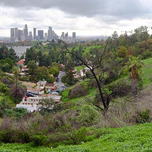 Flowrtown Here is the best way to see a Dodgers game before the season is over