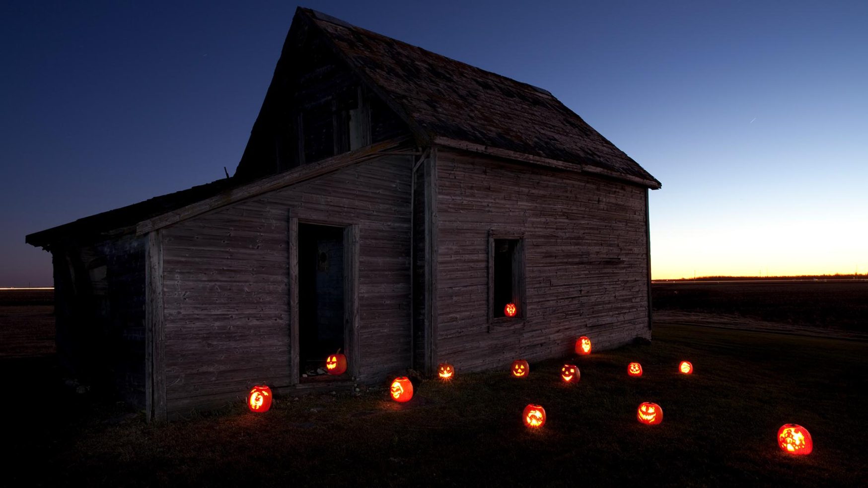 Flowertown Favorites: Spooky Halloween Edition