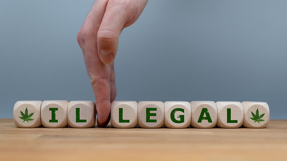 Flowertown Cannabis legalization bill approved in Congress