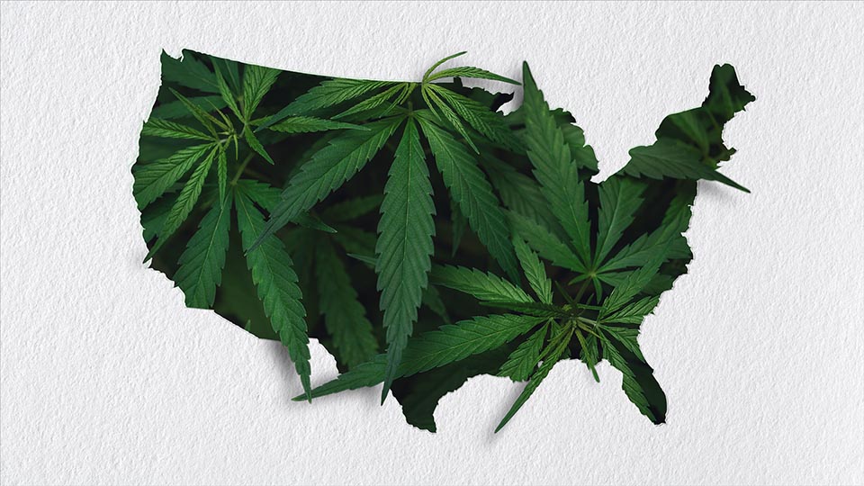 Flowertown Cannabis legalization bill approved in Congress